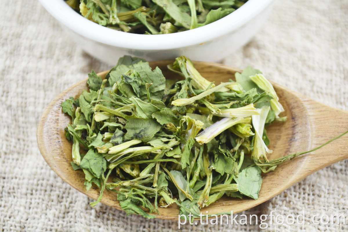 Premium dehydrated coriander leaves